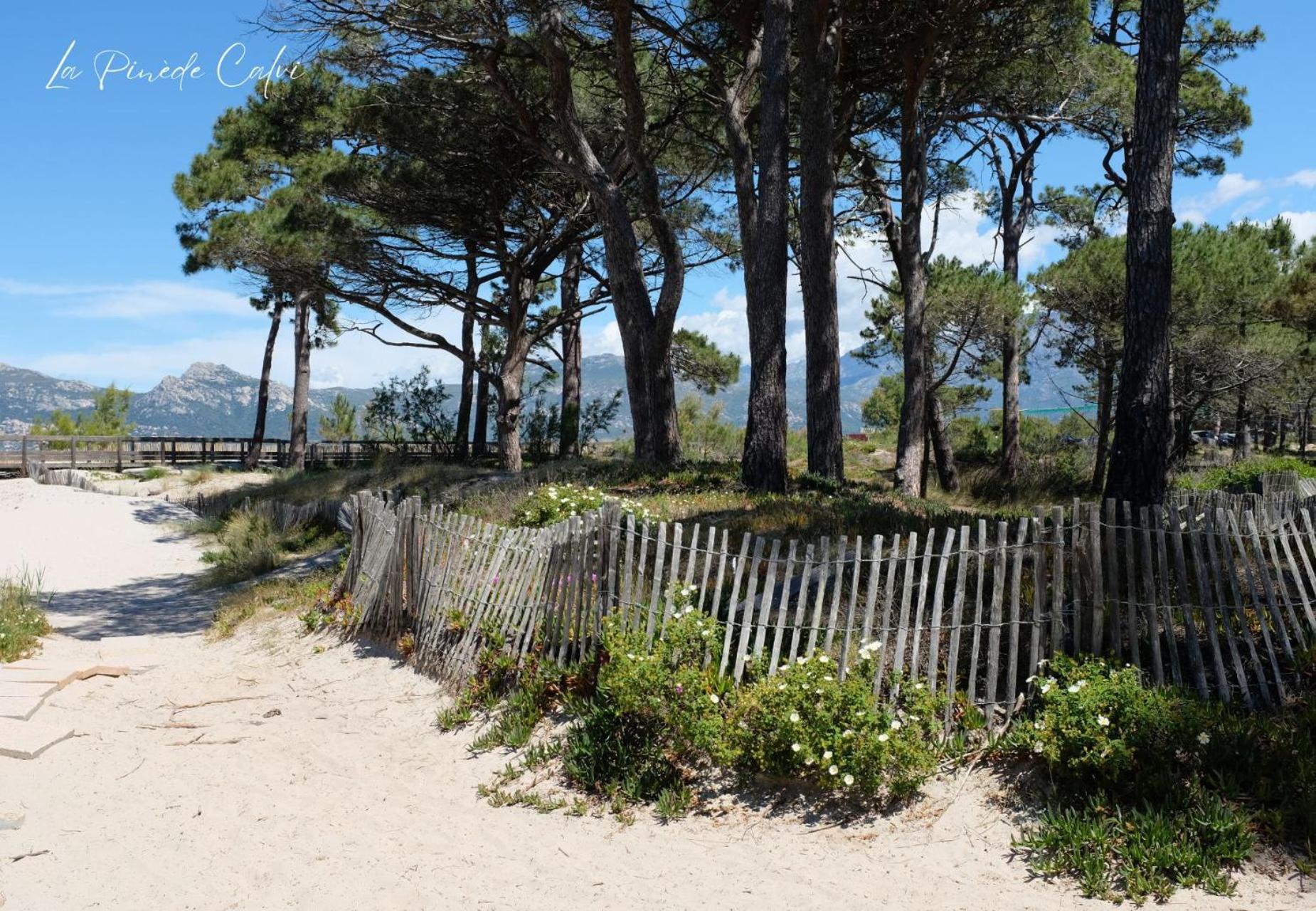 Les Pieds Dans L'Eau T2 E Apartment Calvi  Ngoại thất bức ảnh